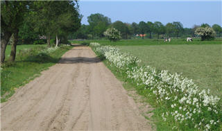 zandweg